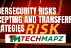 Cybersecurity Risks Accepting and Transferring Strategies