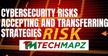 Cybersecurity Risks Accepting and Transferring Strategies