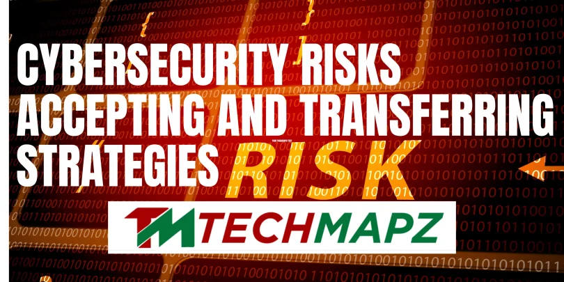 Cybersecurity Risks Accepting and Transferring Strategies